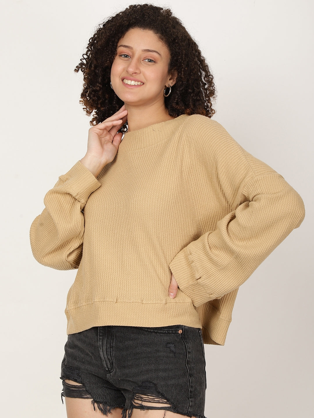 Women Solid textured Pullover Sweatshirt