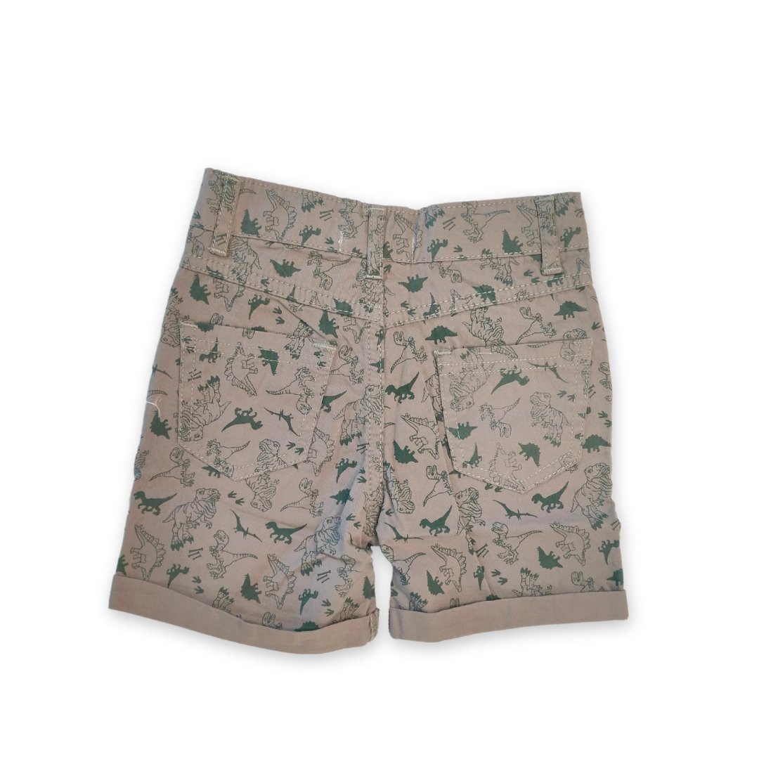 Boys Printed Cotton Shorts - RueCollections